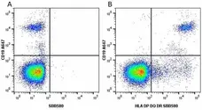 Anti Human HLA DP DQ DR Antibody, clone WR18 gallery image 24