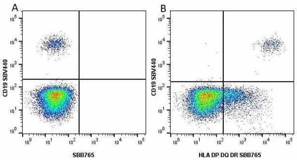Anti Human HLA DP DQ DR Antibody, clone WR18 gallery image 27