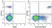 Anti Human HLA DP DQ DR Antibody, clone WR18 thumbnail image 28