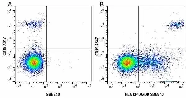 Anti Human HLA DP DQ DR Antibody, clone WR18 gallery image 28