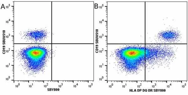 Anti Human HLA DP DQ DR Antibody, clone WR18 gallery image 33