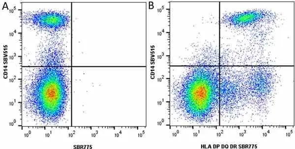 Anti Human HLA DP DQ DR Antibody, clone WR18 gallery image 34