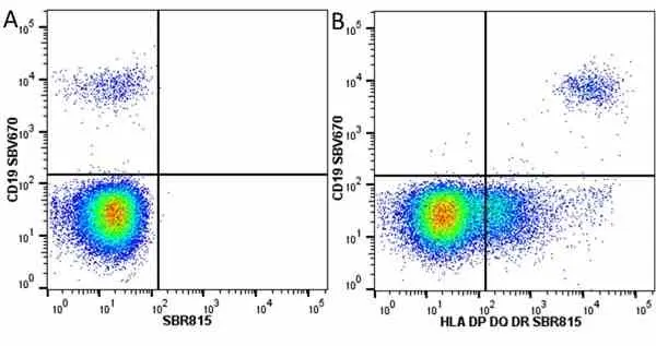 Anti Human HLA DP DQ DR Antibody, clone WR18 gallery image 35