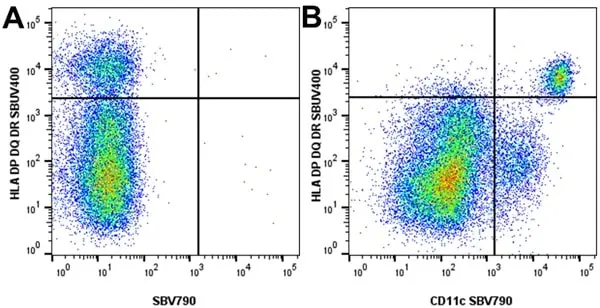 Anti Human HLA DP DQ DR Antibody, clone WR18 gallery image 37