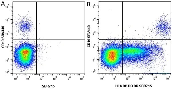 Anti Human HLA DP DQ DR Antibody, clone WR18 gallery image 38