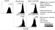 Anti Human HLA DP DQ DR Antibody, clone WR18 gallery image 4