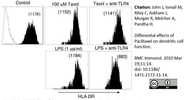 Anti Human HLA DP DQ DR Antibody, clone WR18 gallery image 4