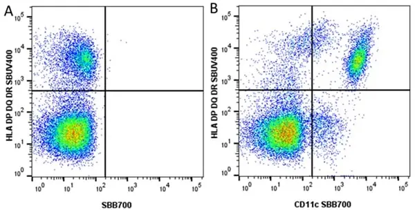 Anti Human HLA DP DQ DR Antibody, clone WR18 gallery image 40