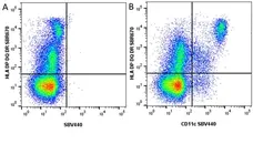 Anti Human HLA DP DQ DR Antibody, clone WR18 gallery image 42