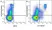 Anti Human HLA DP DQ DR Antibody, clone WR18 thumbnail image 42