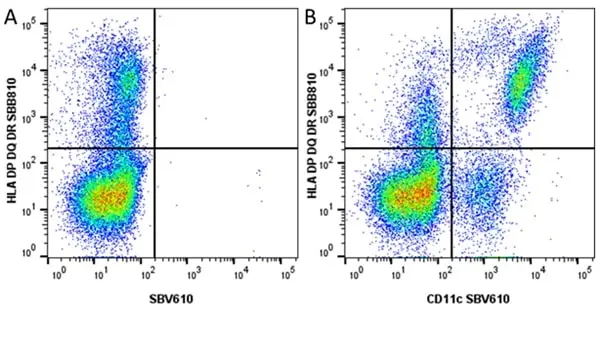 Anti Human HLA DP DQ DR Antibody, clone WR18 gallery image 43