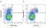 Anti Human HLA DP DQ DR Antibody, clone WR18 thumbnail image 46