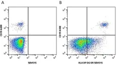 Anti Human HLA DP DQ DR Antibody, clone WR18 gallery image 7