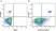 Anti Human HLA DP DQ DR Antibody, clone WR18 thumbnail image 7