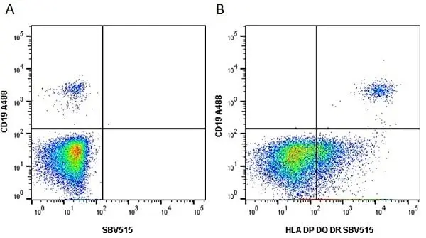 Anti Human HLA DP DQ DR Antibody, clone WR18 gallery image 7