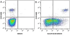 Anti Human HLA DP DQ DR Antibody, clone WR18 gallery image 9