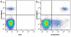 Anti Human HLA DR Antibody, clone HL-39 gallery image 1