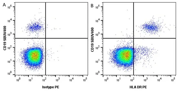 Anti Human HLA DR Antibody, clone YD1/63.4.10 gallery image 3