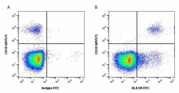 Anti Human HLA DR Antibody, clone YD1/63.4.10 gallery image 4