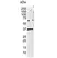 Anti Human HLA E Antibody, clone MEM-E/02 thumbnail image 1