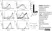 Anti Human HLA G Antibody, clone MEM-G/9 thumbnail image 1