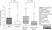 Anti Human HLA G Antibody, clone MEM-G/9 thumbnail image 2