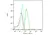 Anti HSF1 Antibody, clone CD01/1B5 (PrecisionAb Monoclonal Antibody) thumbnail image 4
