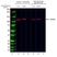 Anti HSPA4 Antibody, clone AbD23625_hIgG1 thumbnail image 1