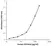 Anti Human IFN Beta Antibody, clone C06-4F6 thumbnail image 1