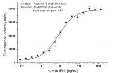Anti Human Interferon Gamma Antibody, clone AbD02503 gallery image 1