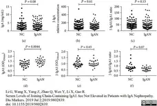 Anti Human IgA1 Alpha 1 Chain Antibody, clone B3506B4 gallery image 1