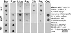 Anti Human IgE Antibody, clone 1A2 gallery image 2