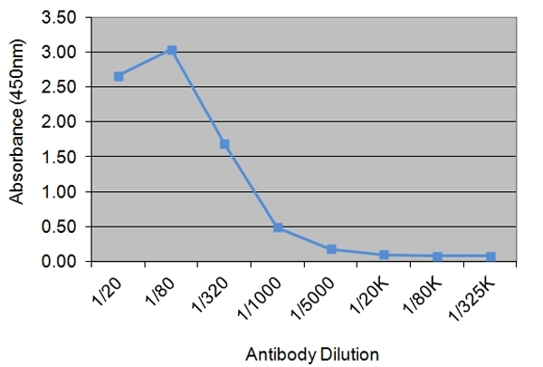 Anti Human Insulin-Like Growth Factor I Antibody, clone 71.1D8 gallery image 1
