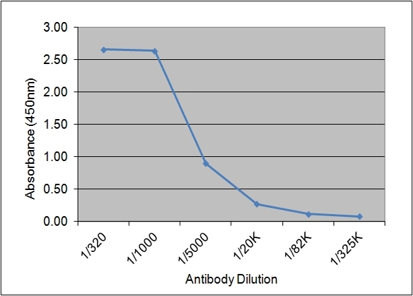 Anti Human Insulin-Like Growth Factor I Antibody, clone 71.1E8 gallery image 1