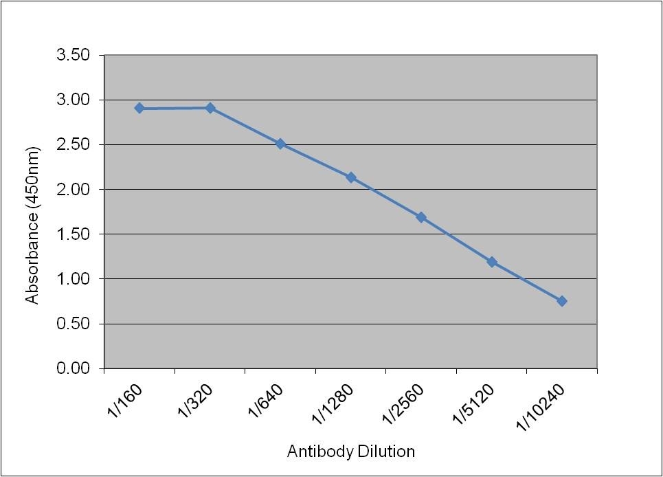Anti Human Insulin-Like Growth Factor I Antibody, clone 71.5B8 gallery image 1