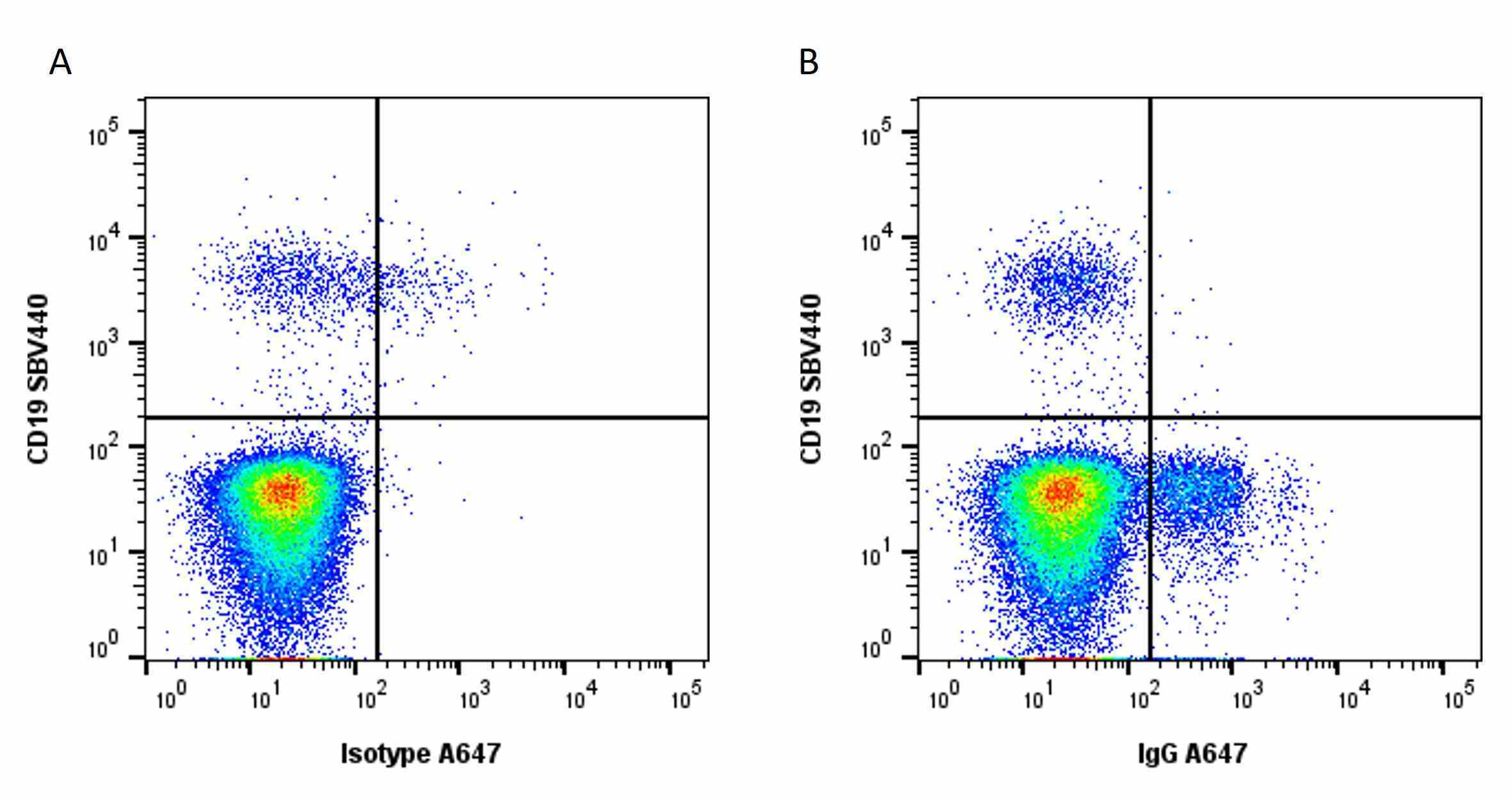 Anti Human IgG (Fc) (CH2 Domain) Antibody, clone 8A4 gallery image 1