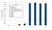 Anti Human IgG (CH2 Domain) Antibody, clone AbD13299 thumbnail image 1