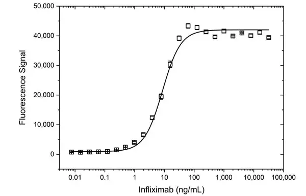 Anti Human IgG (CH2 Domain) Antibody, clone AbD13299 gallery image 3