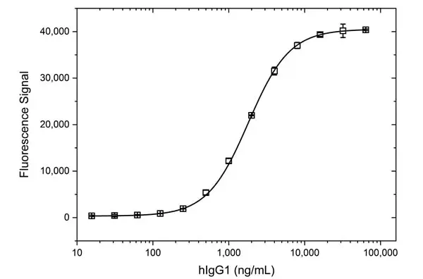 Anti Human IgG (CH2 Domain) Antibody, clone AbD13299 gallery image 4