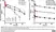  Anti Human IgG1 (Fc) Antibody, clone AbD27686 : without SpyTag thumbnail image 5