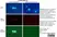 Anti Human IgM Antibody, clone M15/8 thumbnail image 1