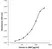Anti Human INTERLEUKIN-18BP Antibody, clone B01-3E12 thumbnail image 1