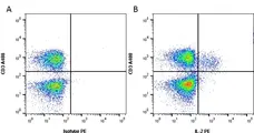 Anti Human Interleukin-2 Antibody, clone MQ1-17H12 gallery image 2