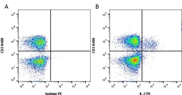 Anti Human Interleukin-2 Antibody, clone MQ1-17H12 gallery image 2