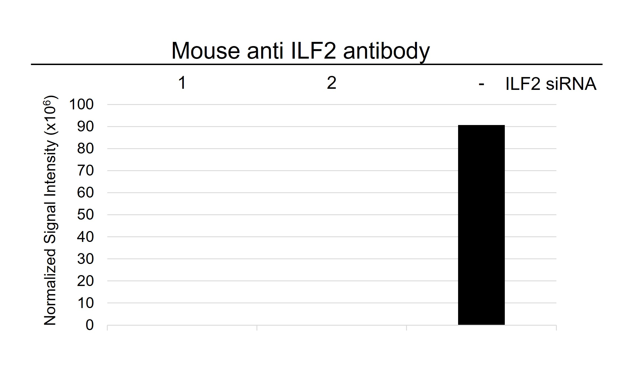 Anti ILF2 Antibody, clone OTI6F1 (PrecisionAb Monoclonal Antibody) gallery image 3