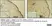 Anti Human Indoleamine 2,3-Dioxygenase Antibody, clone 10.1 thumbnail image 1