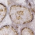 Anti Human Inhibin Alpha Antibody, clone R1 thumbnail image 1