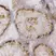 Anti Human Inhibin Alpha Antibody, clone R1 thumbnail image 1