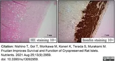 Anti Human Insulin Antibody, clone E2E3 gallery image 1