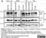 Anti Human JARID1B Antibody, clone 1G10 thumbnail image 5
